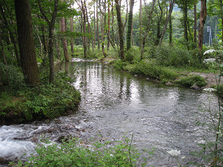 f0065341_9265296.jpg