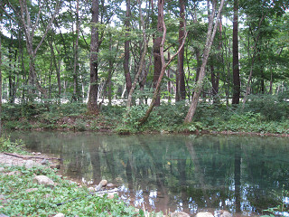 f0065341_9275139.jpg