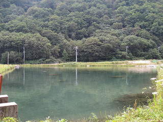 f0065341_9282692.jpg