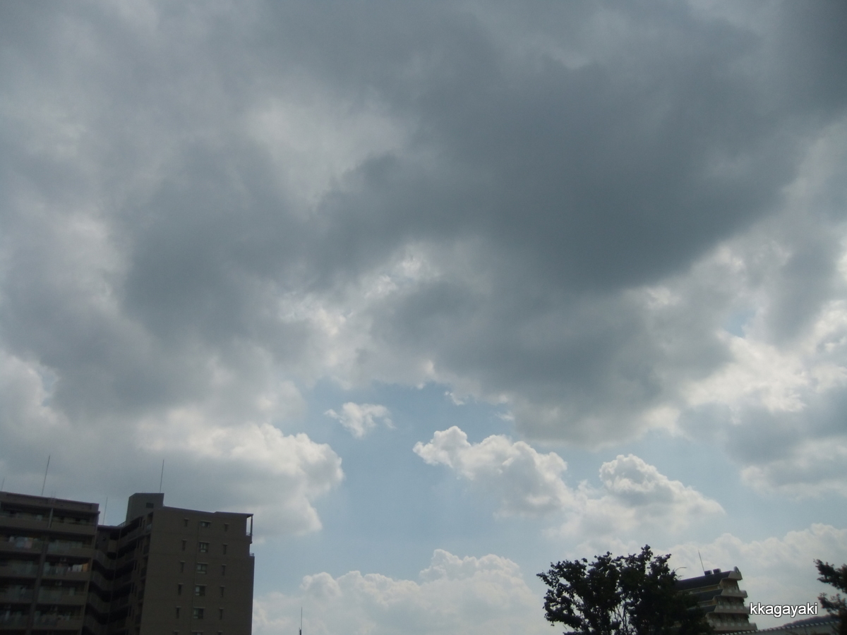 e0206242_12344196.jpg