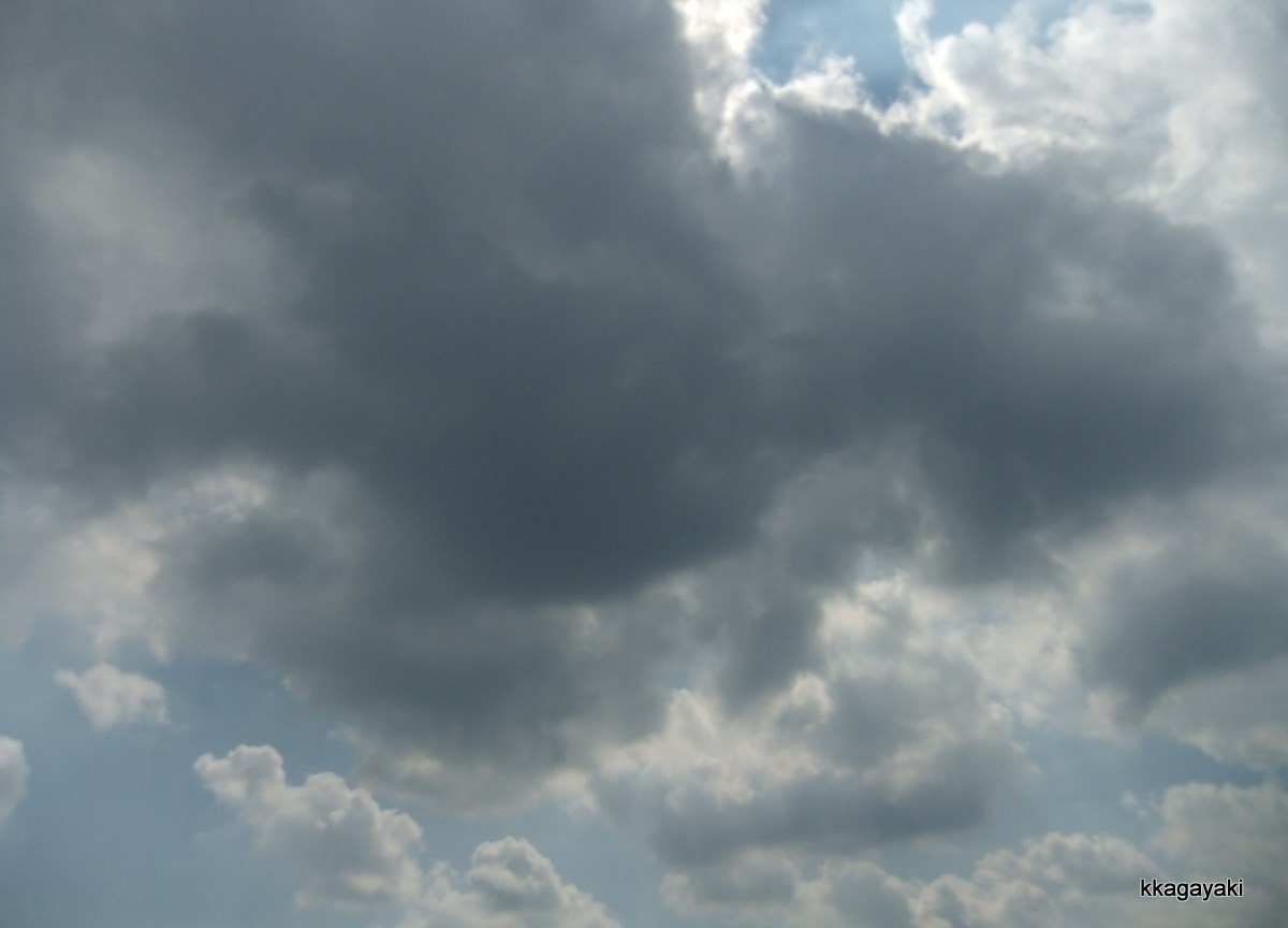 e0206242_1235555.jpg