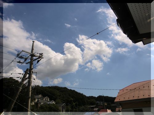 b0206444_13531515.jpg