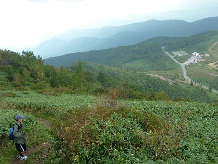 d0182245_0291581.jpg