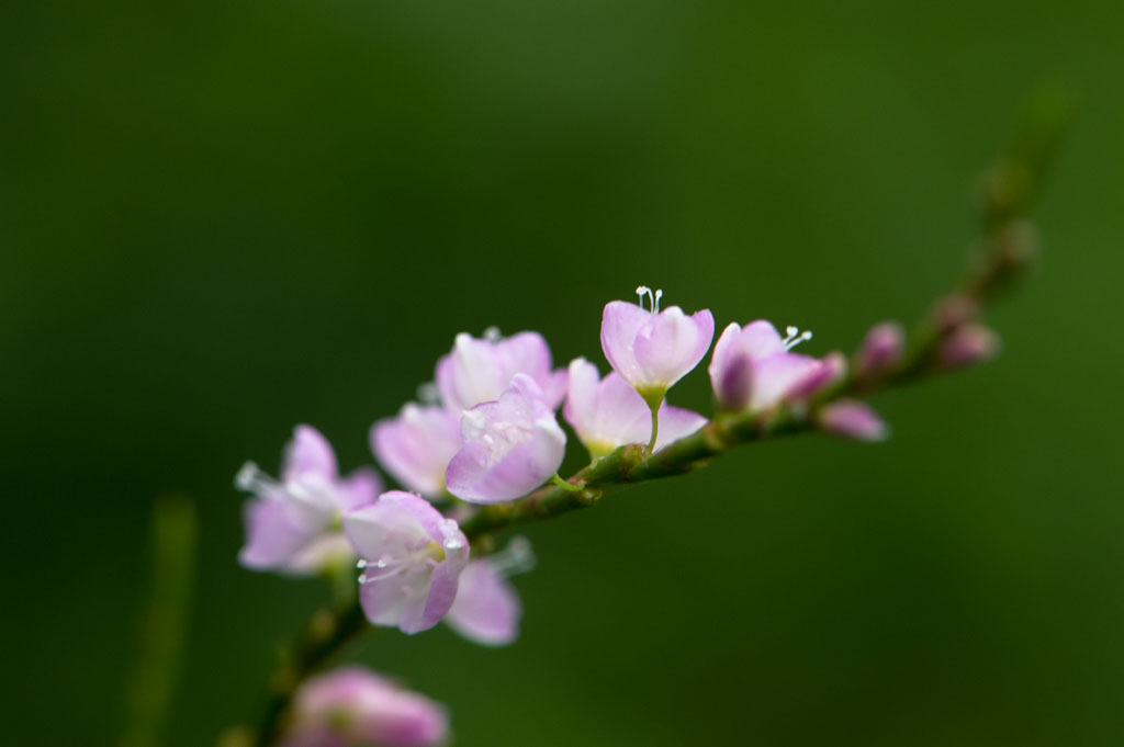 b0023047_523779.jpg