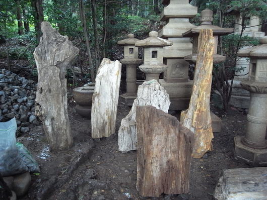 e0126548_11562343.jpg