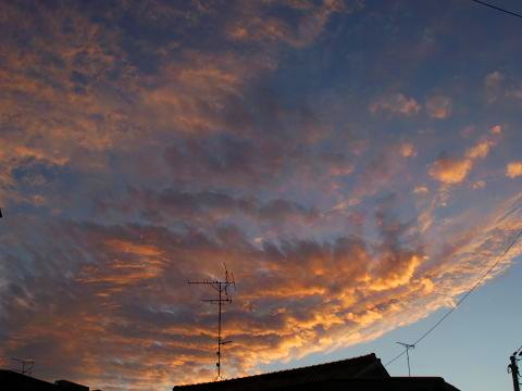 d0021649_20325640.jpg