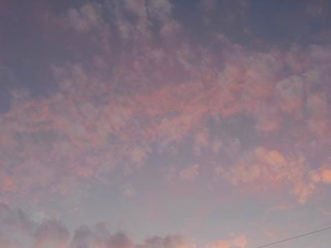 d0021649_20335797.jpg