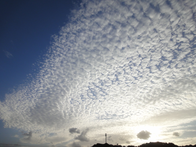 e0169149_1322562.jpg