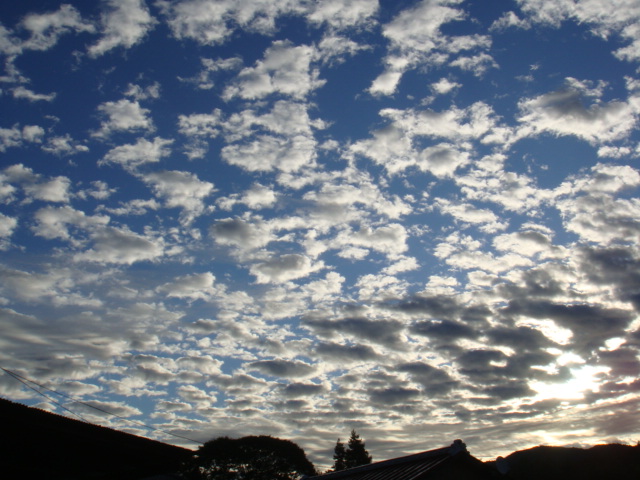 c0074157_21442462.jpg