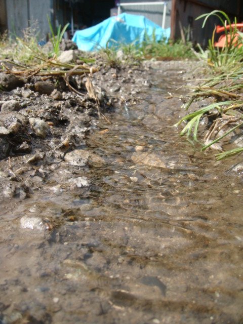c0074157_21481659.jpg