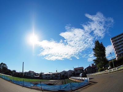 b0180764_21582690.jpg