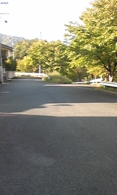 e0143667_13264356.jpg