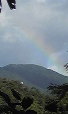 e0143667_13313297.jpg
