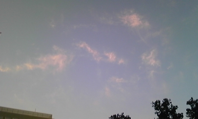 e0143667_20253358.jpg