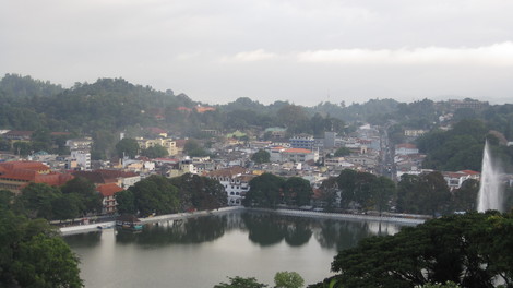 d0108969_18274543.jpg