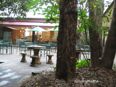 c0117570_1428345.jpg