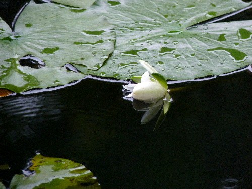 d0084473_1613212.jpg