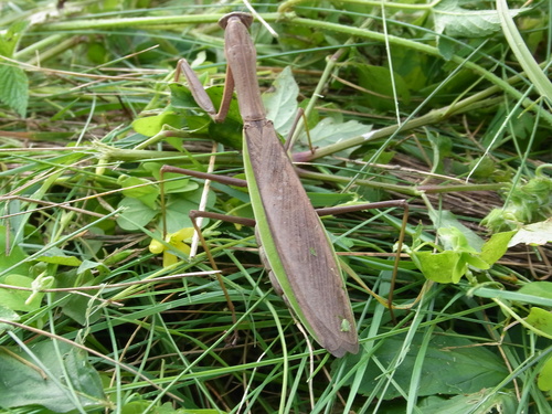 f0130376_16323725.jpg