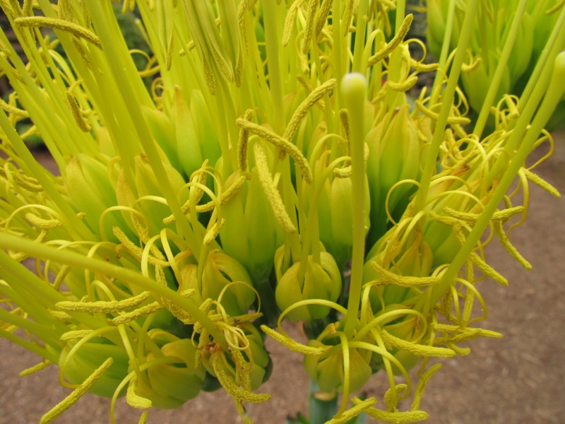 c0183777_1330894.jpg