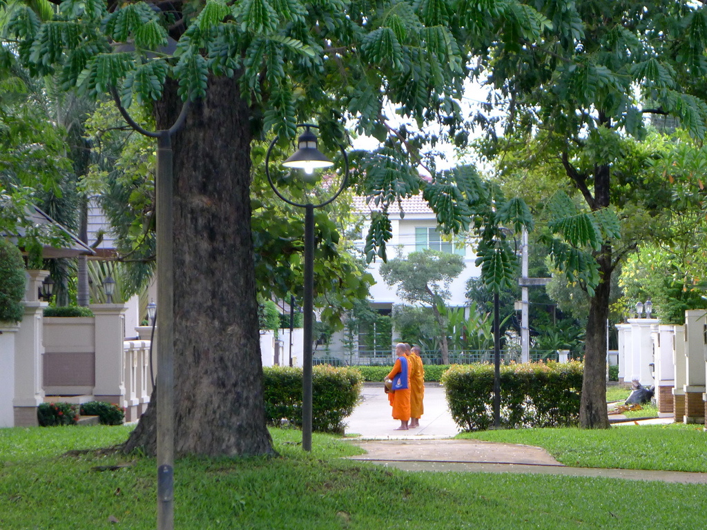 f0178278_1235025.jpg
