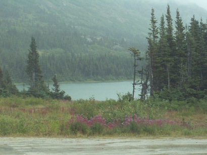 f0018790_14412011.jpg