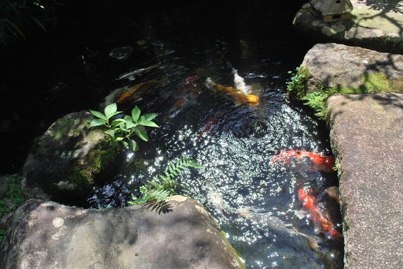 e0172592_15135614.jpg