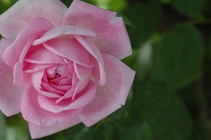 f0201297_17543287.jpg