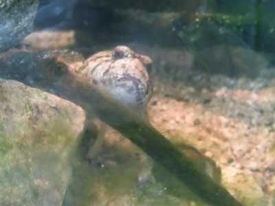f0082402_11234470.jpg