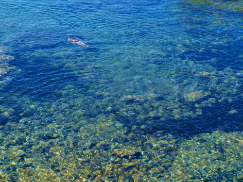 a0207108_8191775.jpg