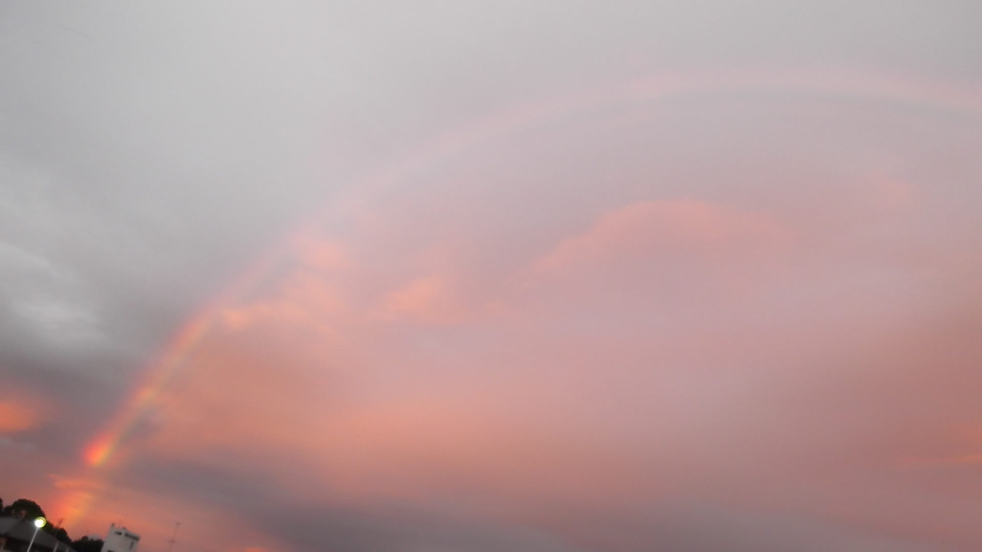 b0182709_1634778.jpg