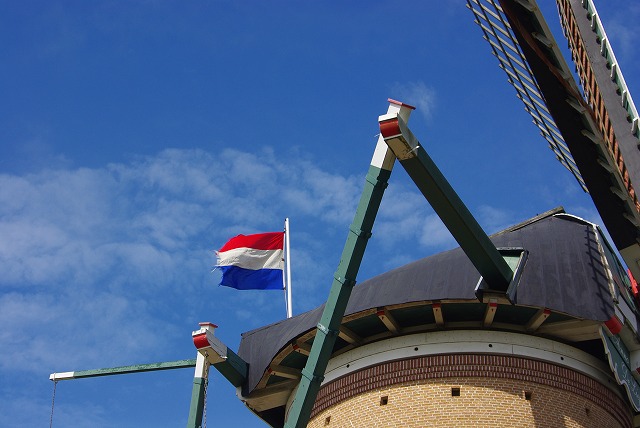 d0147812_20142048.jpg