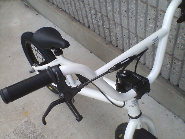 c0100318_15101785.jpg