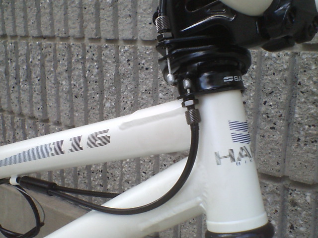 c0100318_15354921.jpg