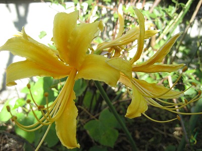 f0139520_20291620.jpg