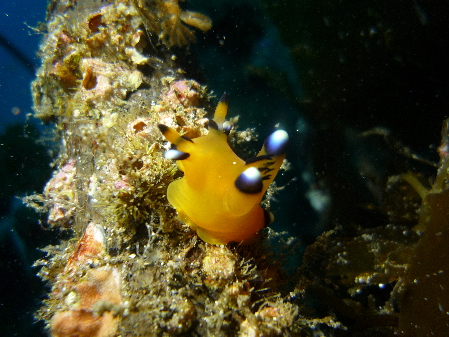 c0223422_10294854.jpg