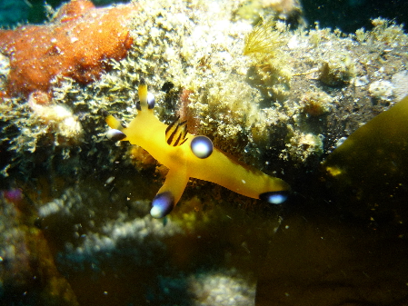 c0223422_10353167.jpg
