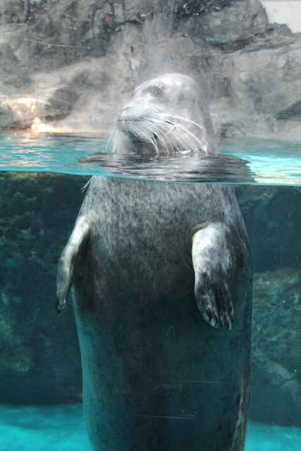 f0221023_065122.jpg