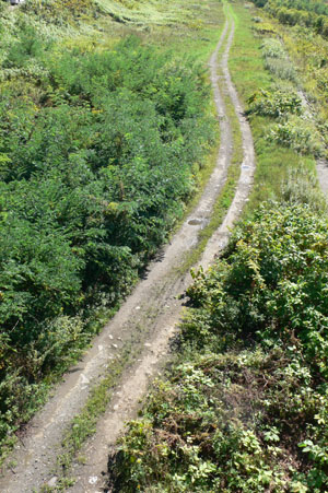 a0046429_912391.jpg