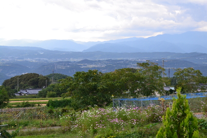 e0228938_230583.jpg