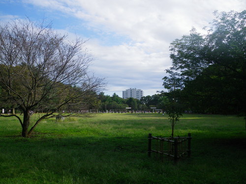 d0252642_18123131.jpg