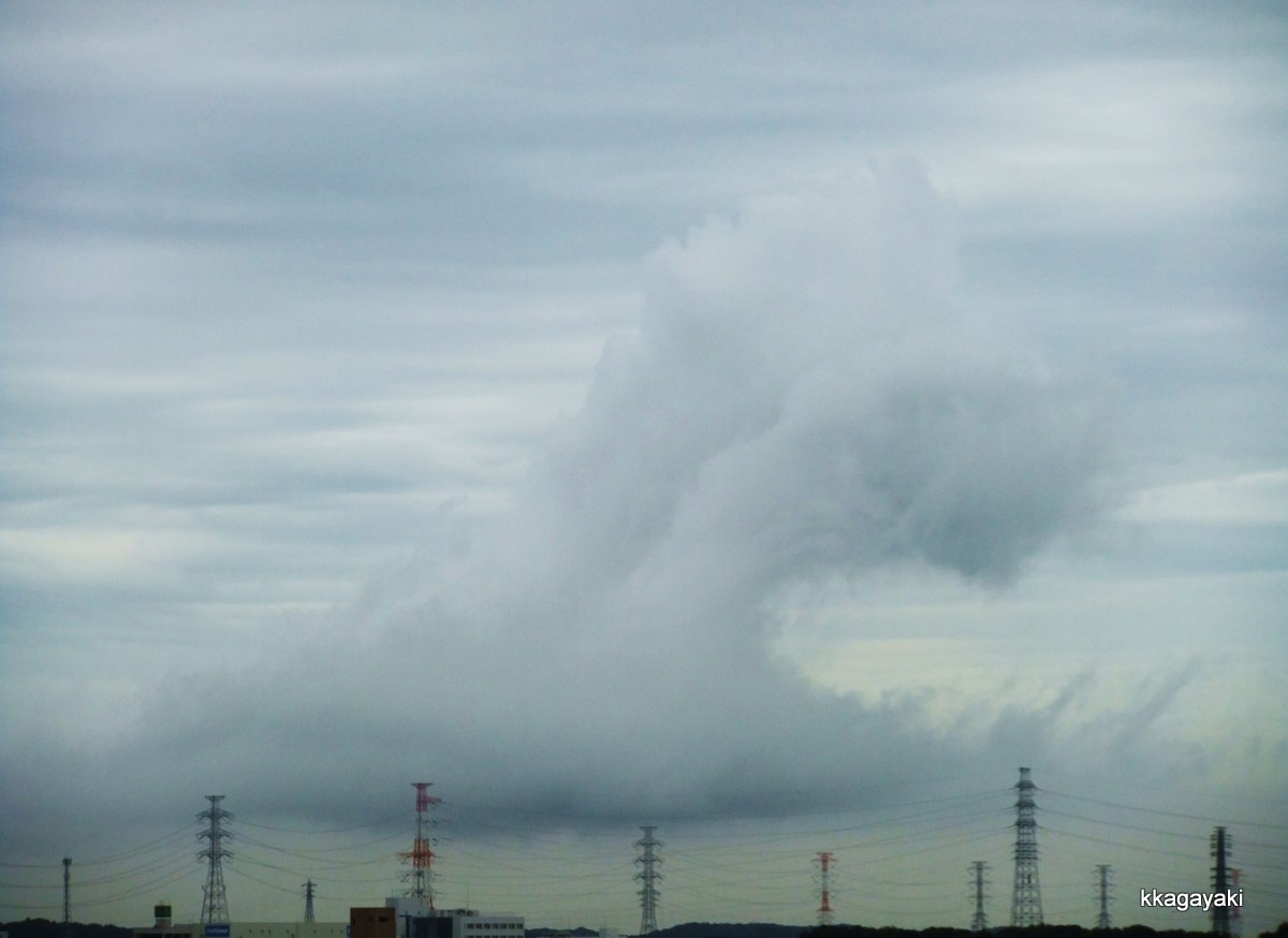 e0206242_11282186.jpg