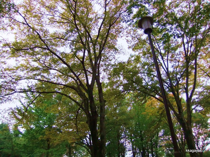 e0206242_11343738.jpg