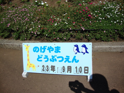 e0185243_1782699.jpg