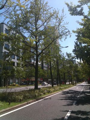 e0126046_926672.jpg