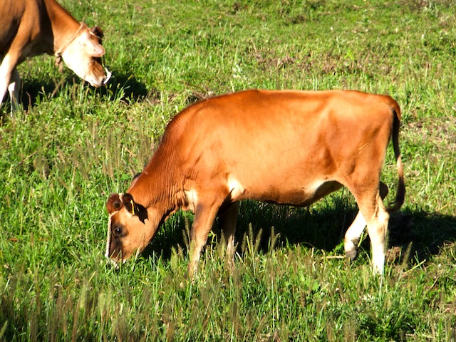 f0213347_226366.jpg