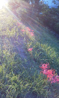 c0100148_20504230.jpg