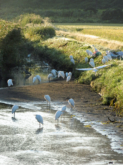 f0214649_9502081.jpg