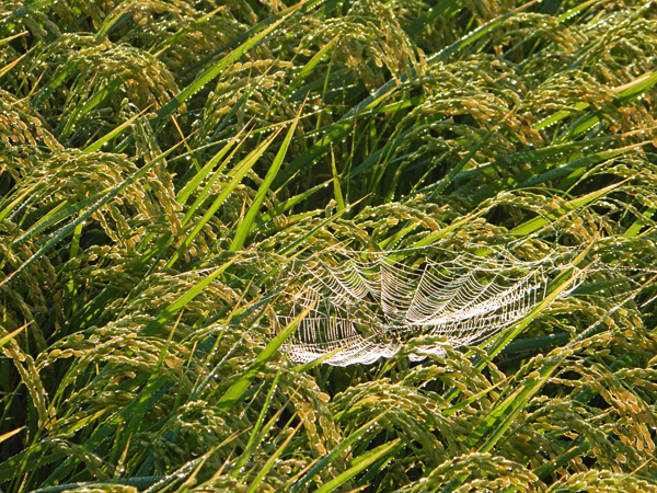 f0214649_9521535.jpg