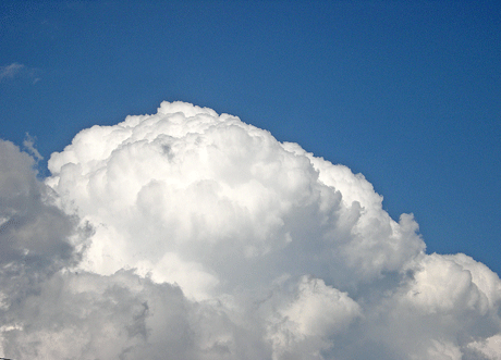 a0001354_2216978.gif