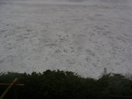 c0224154_234267.jpg